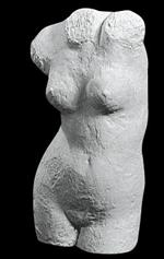 Torso dame